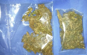 ganja 